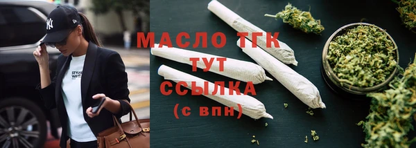 индика Надым