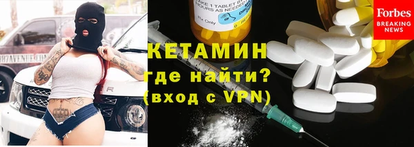 индика Надым