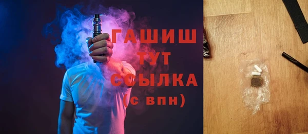 индика Надым