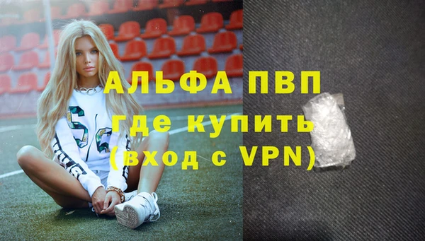 индика Надым