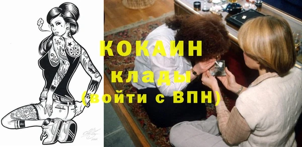 индика Надым